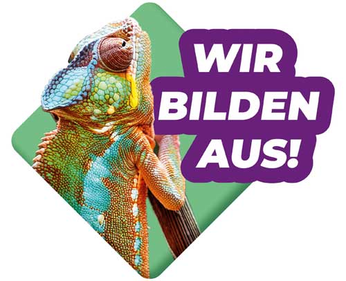 Steuerkanzlei Leichauer Hertrich Bartzsch